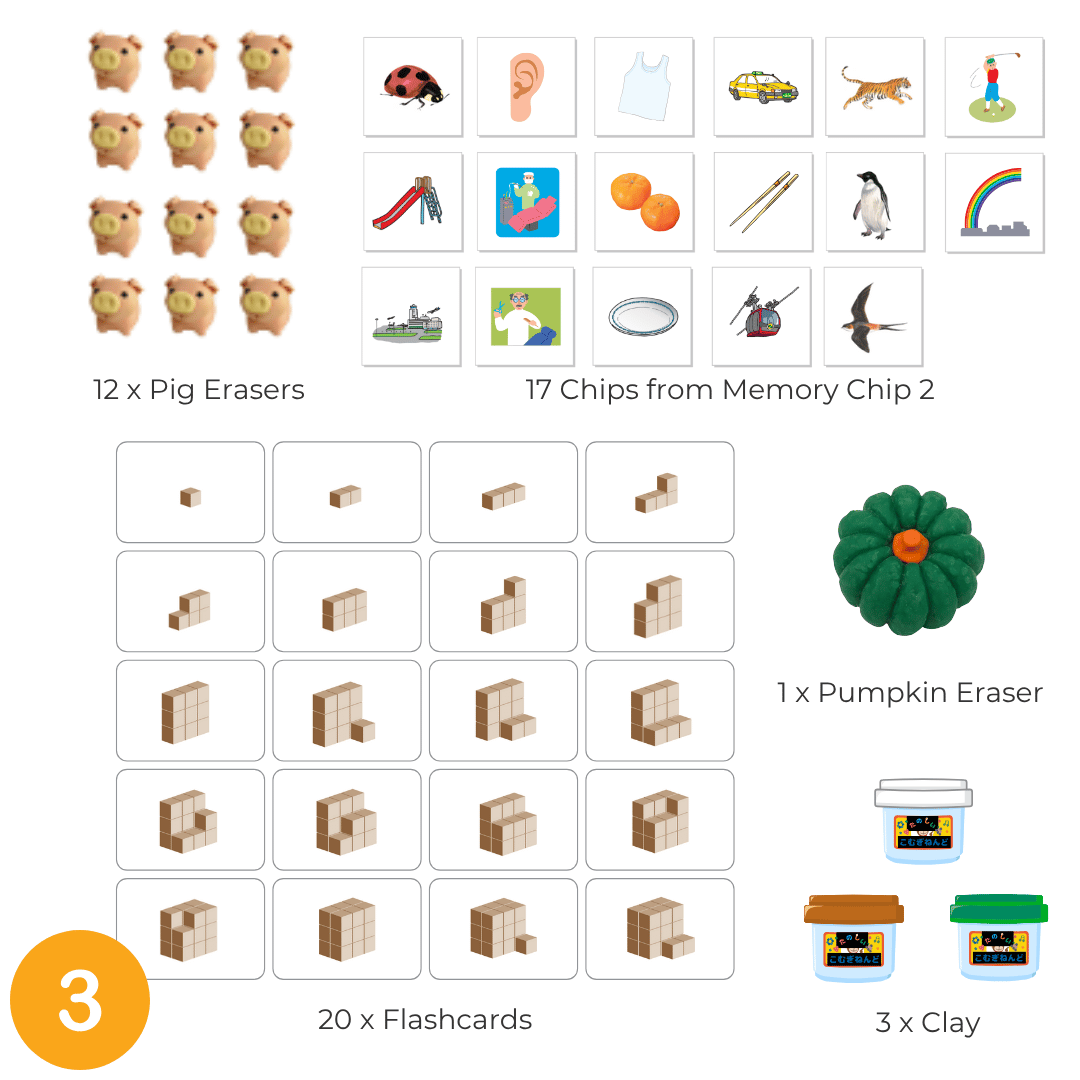 Shichida Discovery Flashcard Set for 3-4 years old