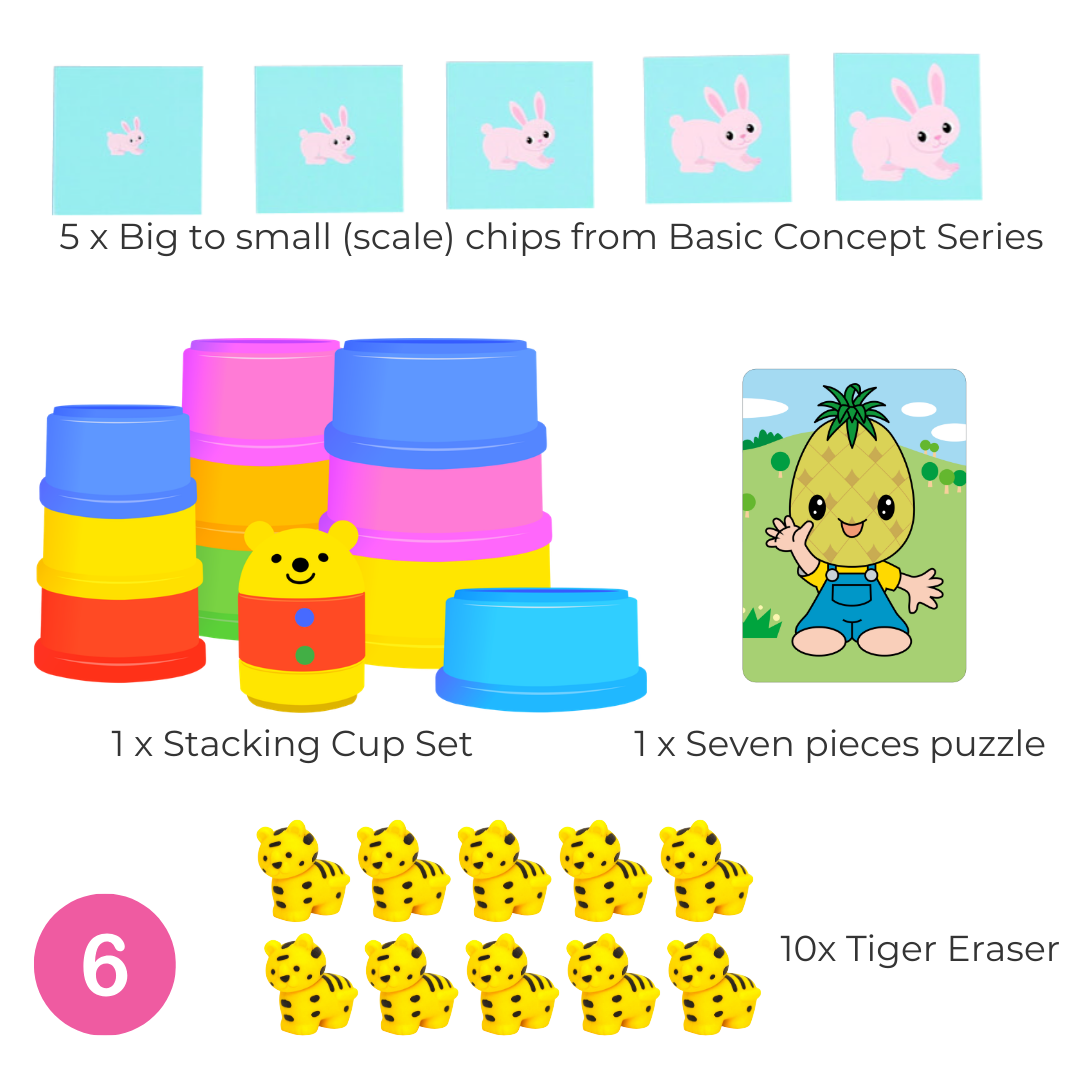 Shichida Discovery Toy Set for 1-2 years old