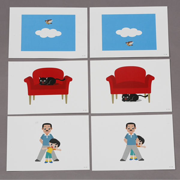 1st Stage Set -Shichida Method Basic Concepts Set