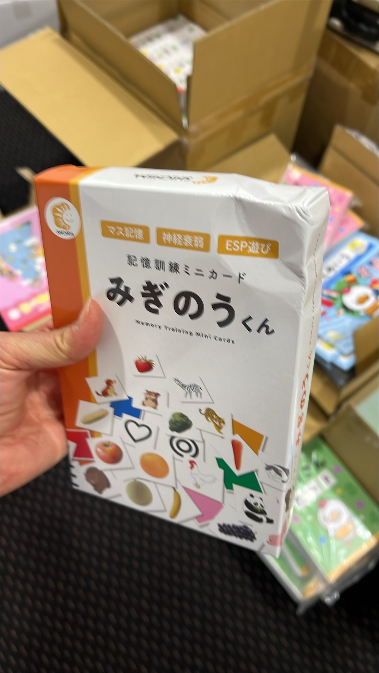 Memory Training Mini Cards - Mr Right Brain