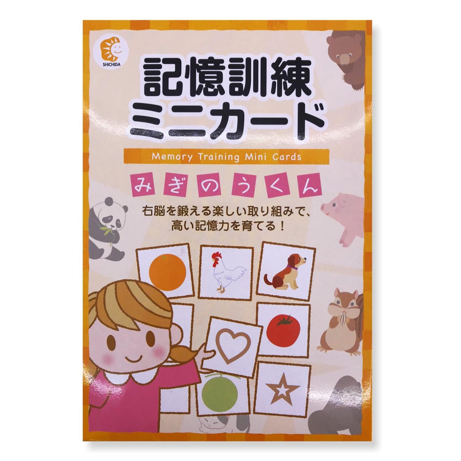 Memory Training Mini Cards - Mr Right Brain