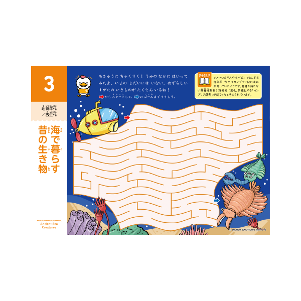 Shichida Adventure Maze 