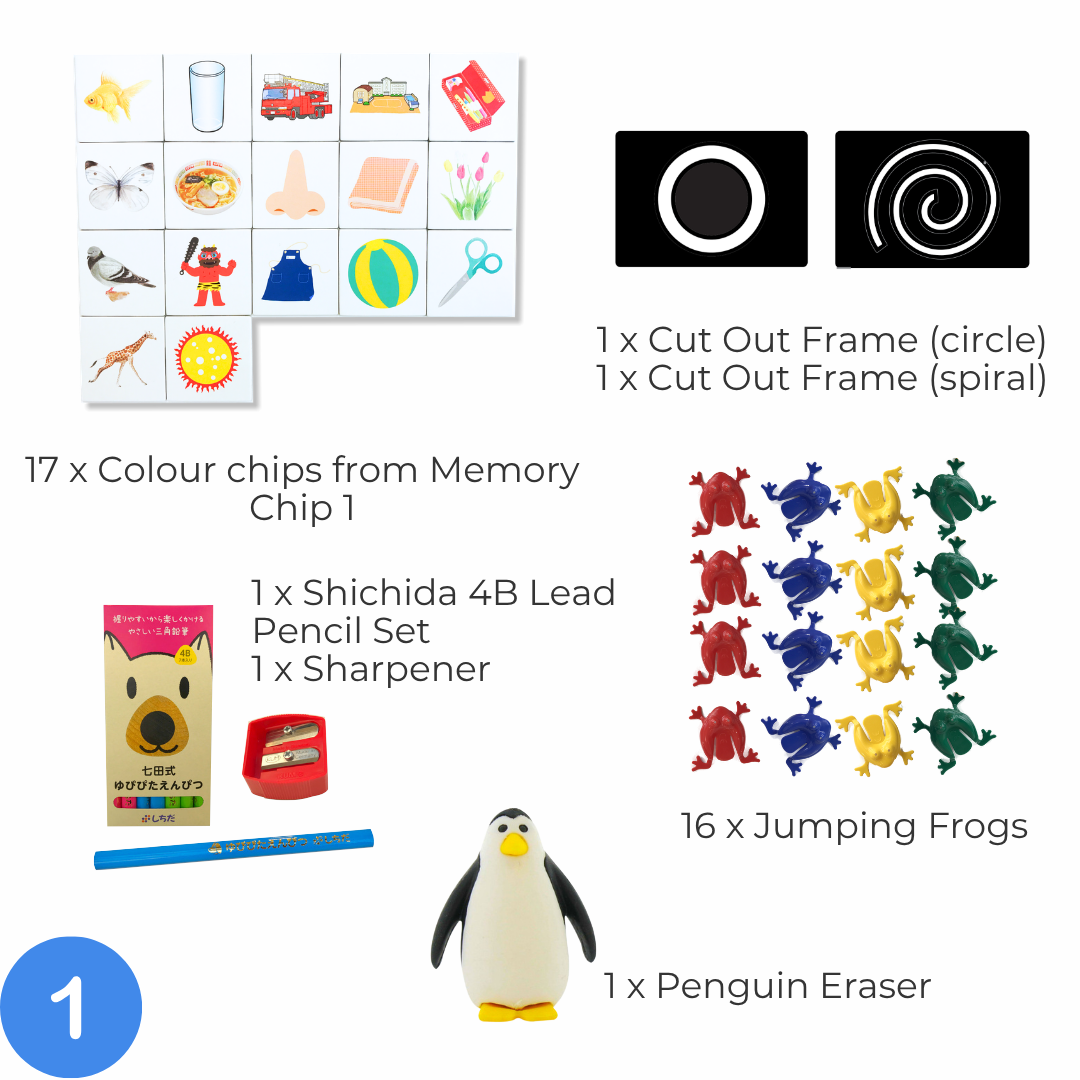 Shichida Discovery Toy Set for 2-3 years old