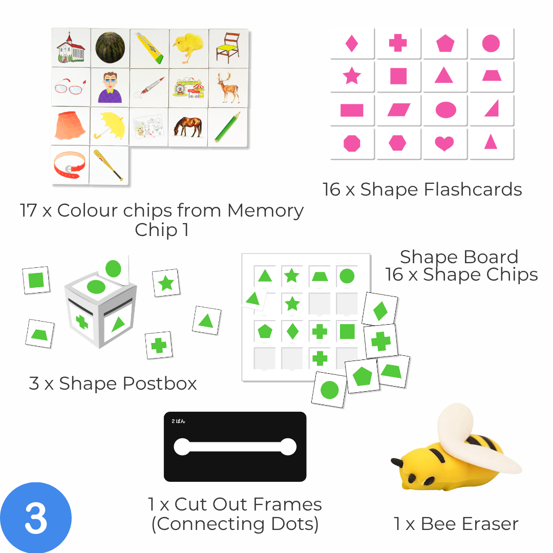 Shichida Discovery Toy Set for 2-3 years old