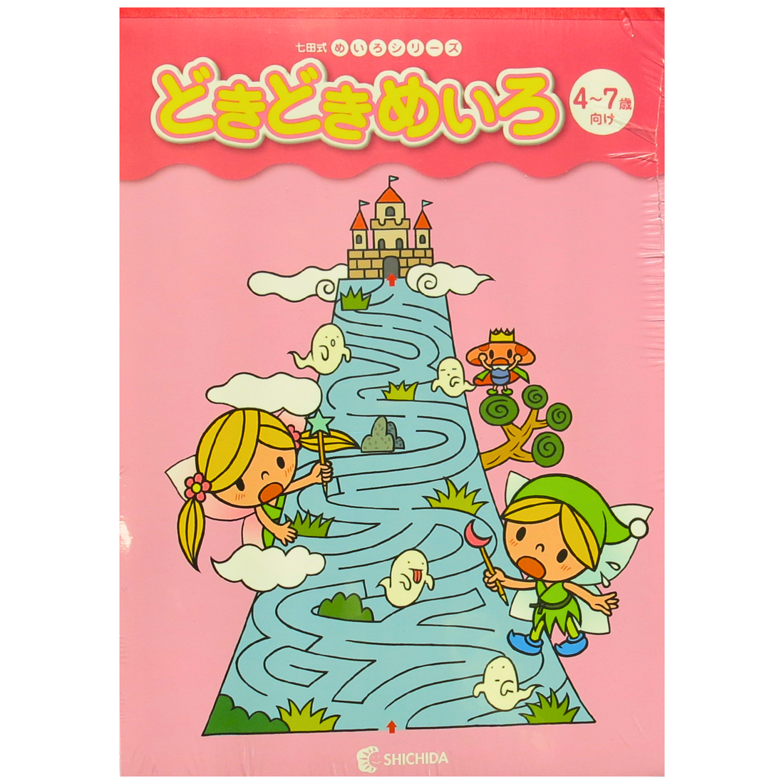Shichida Maze Series 