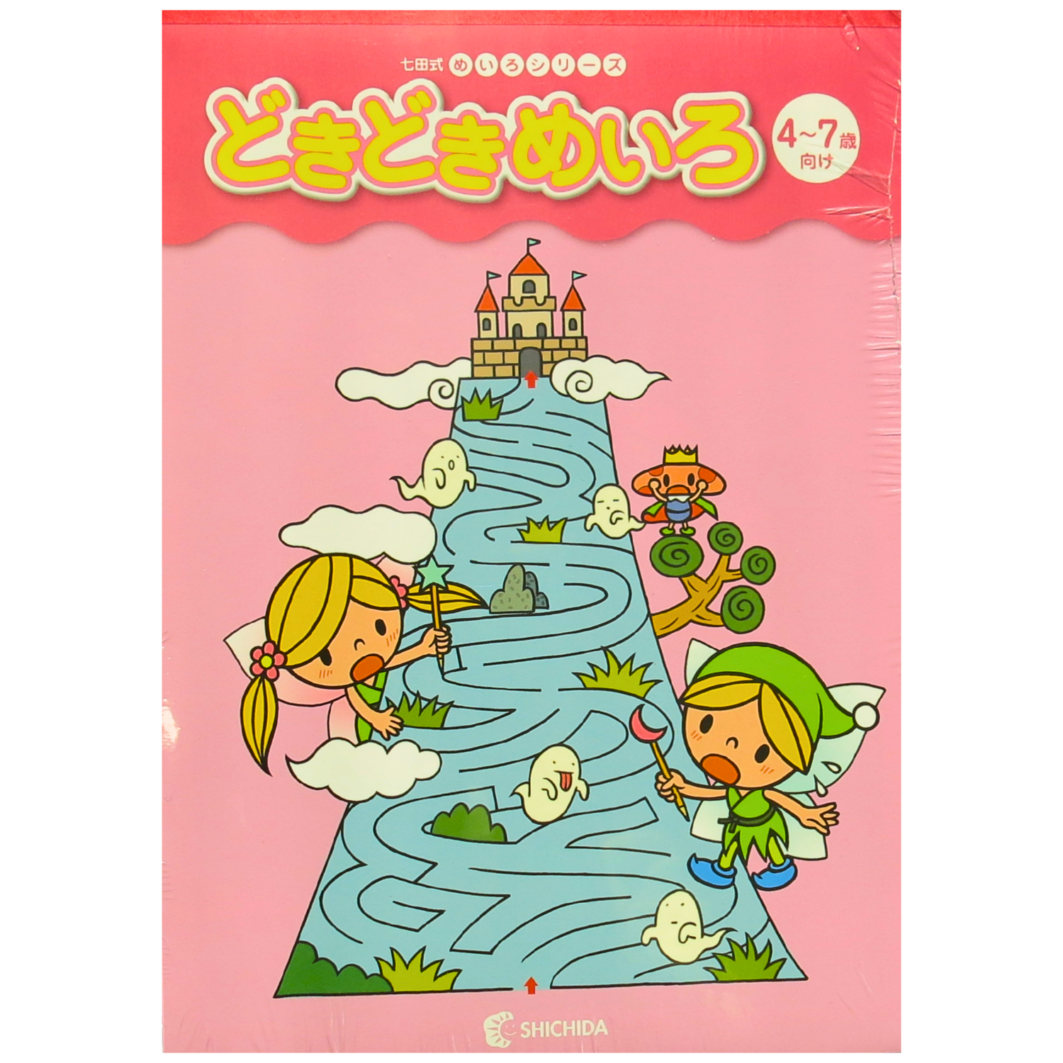 Shichida Maze Series 