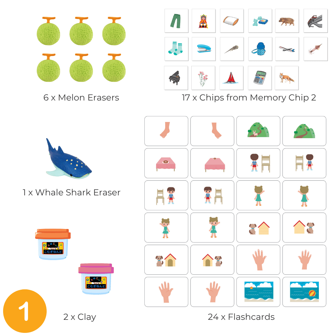 Shichida Discovery Flashcard Set for 3-4 years old