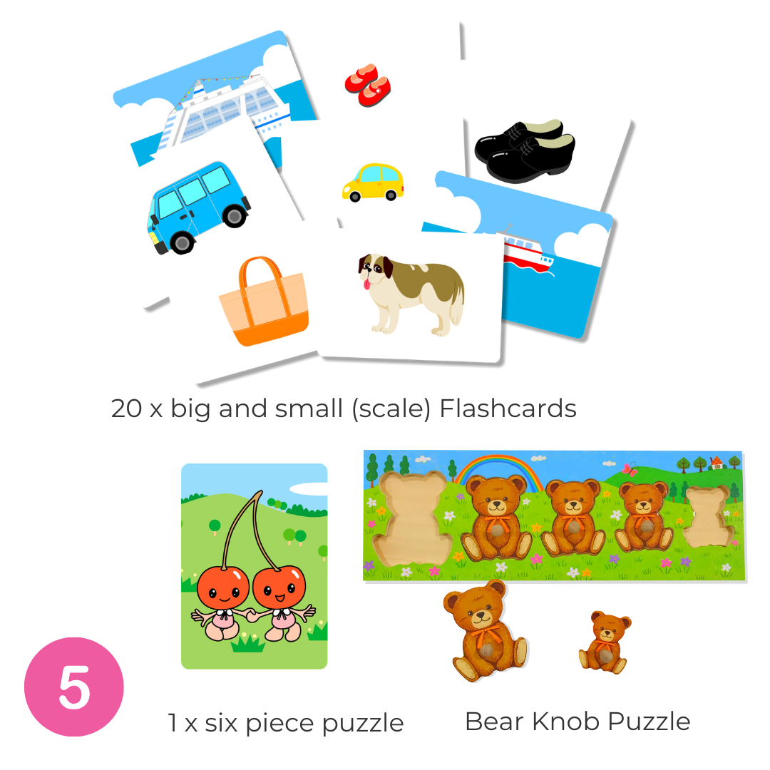 Shichida Discovery Toy Set for 1-2 years old