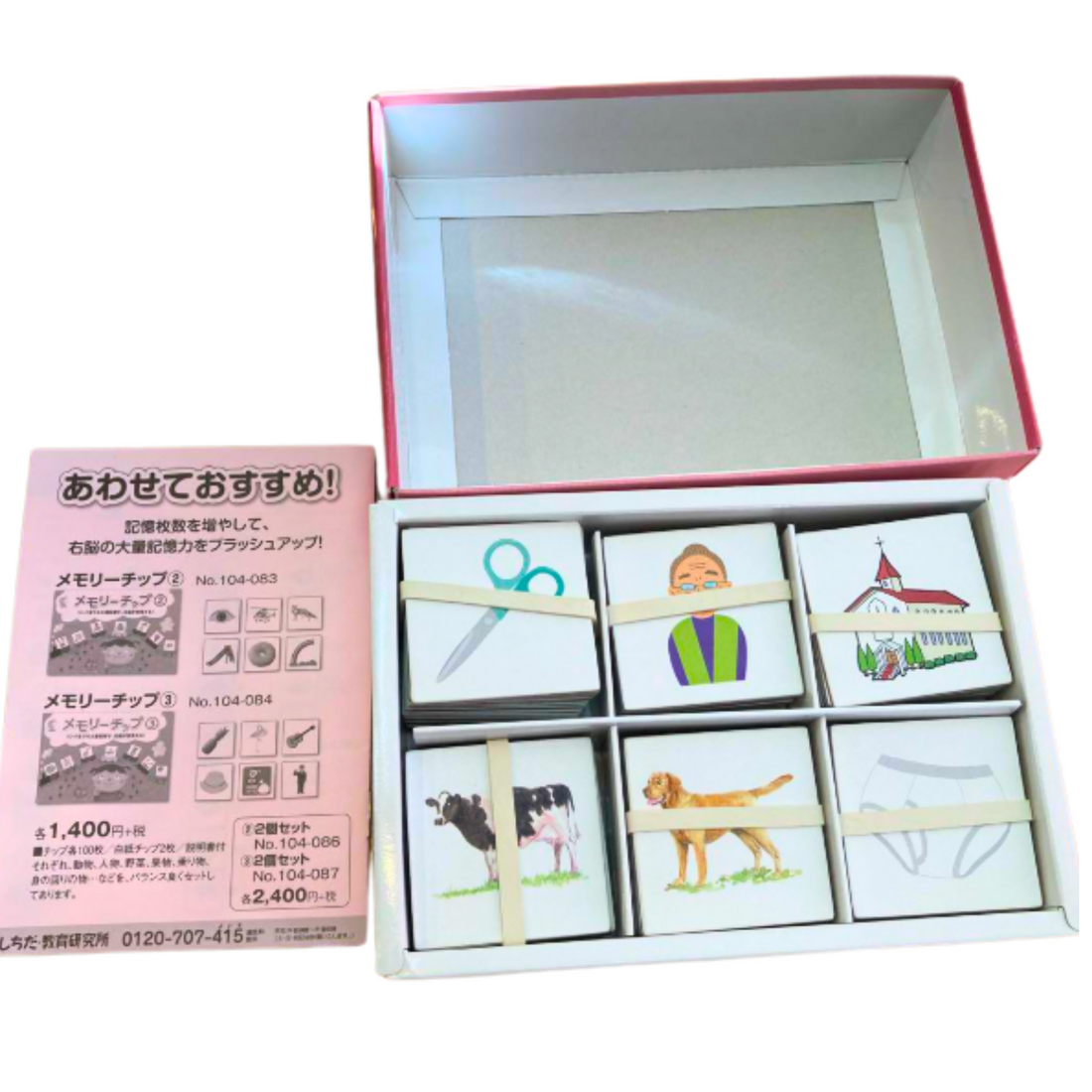 Memory Chip 1