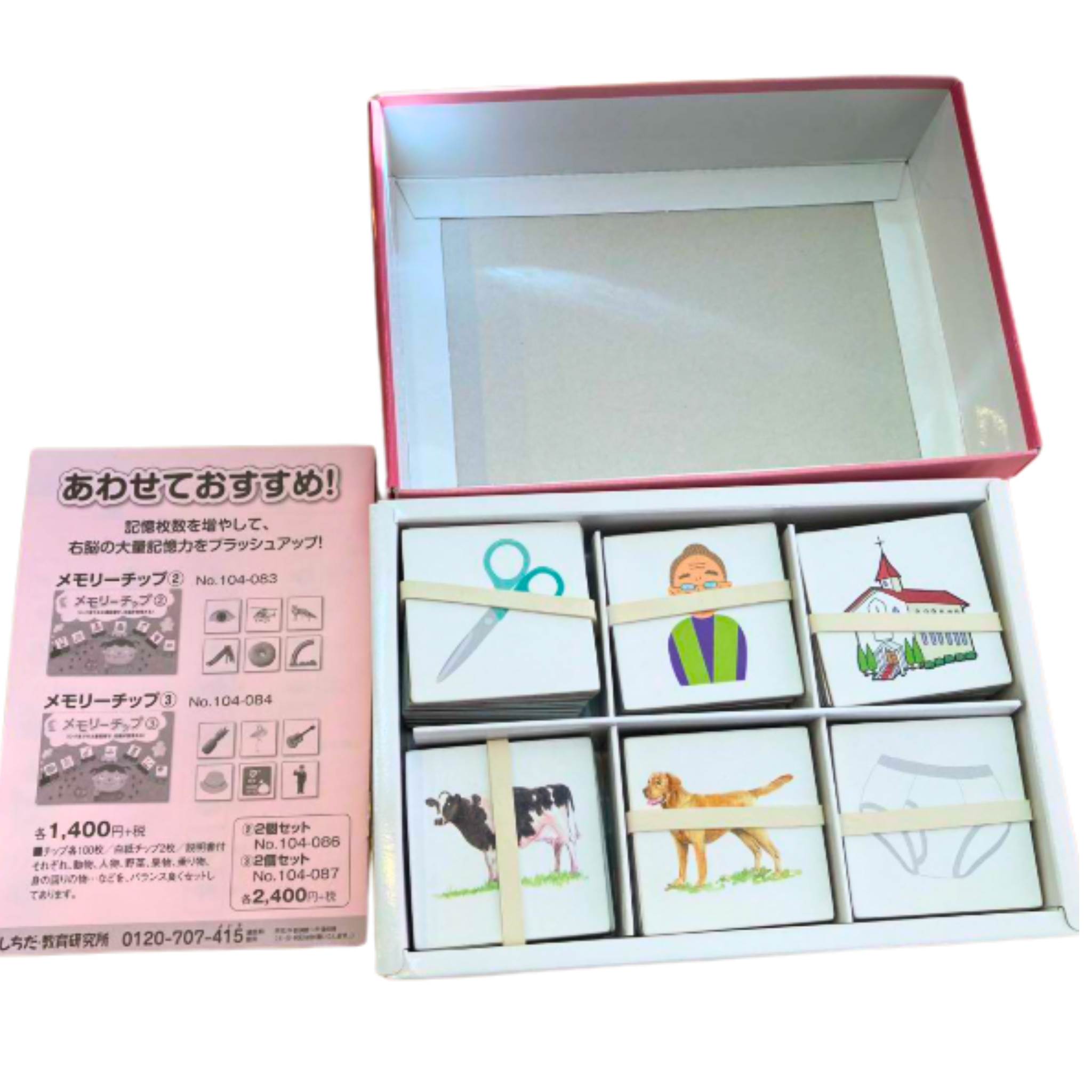 Memory Chip 1
