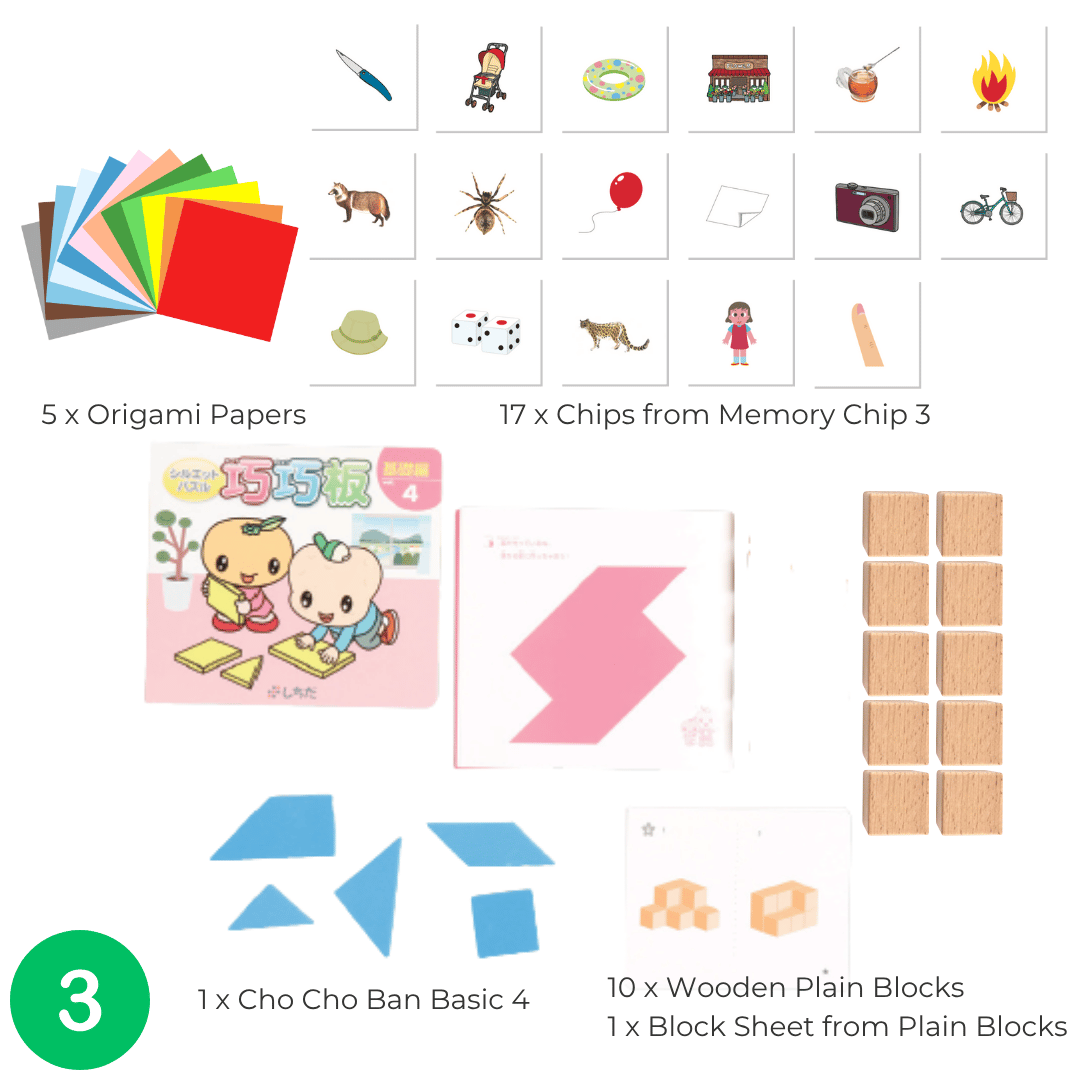 Shichida Discovery Toy Set for 3-4 years old