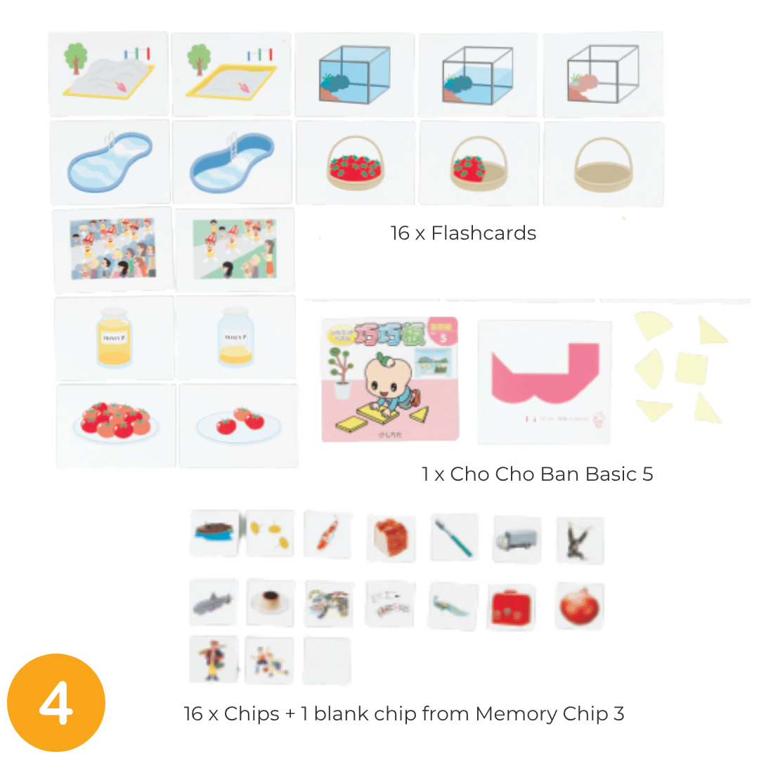 Shichida Discovery Flashcard Set for 3-4 years old 