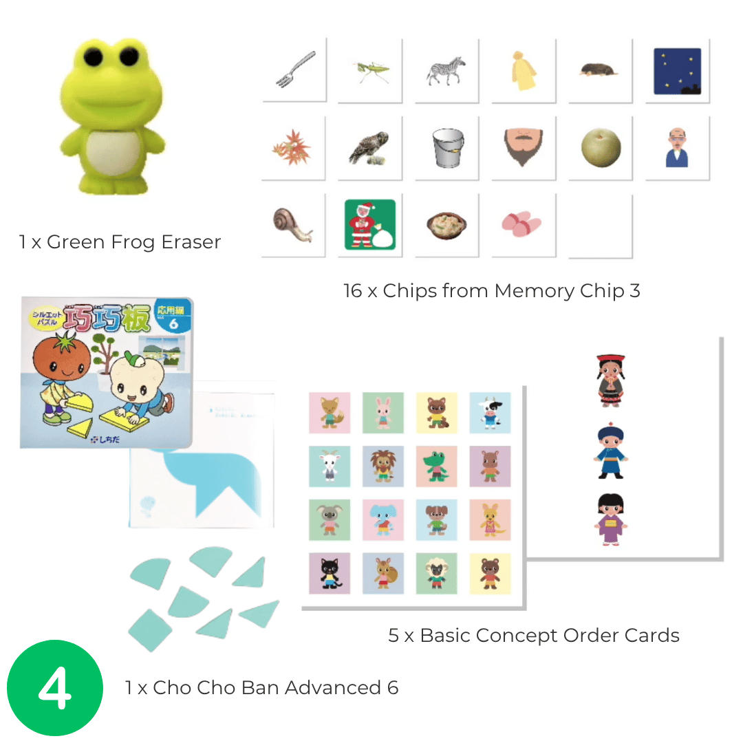 Shichida Discovery Toy Set for 3-4 years old 