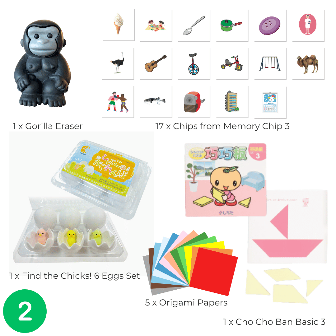 Shichida Discovery Toy Set for 3-4 years old