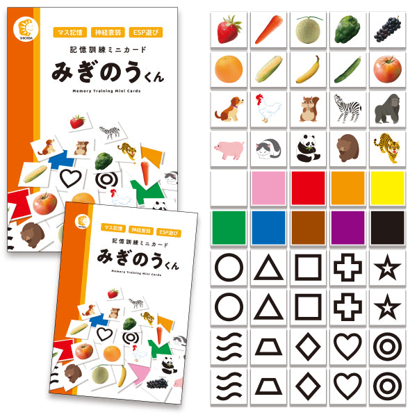 Memory Training Mini Cards - Mr Right Brain