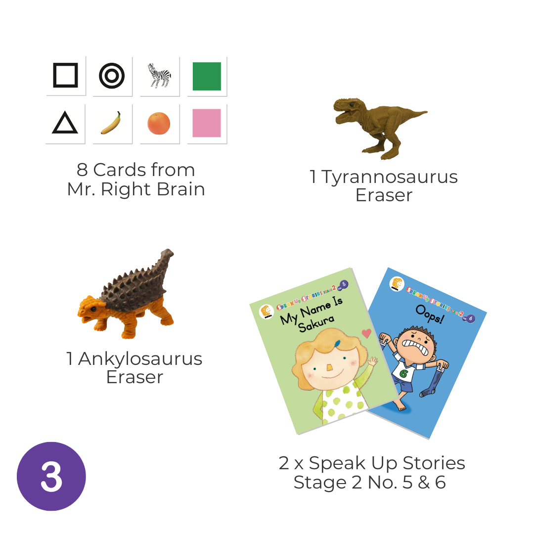 Shichida Discovery Toy + Book Set for 5+ years old