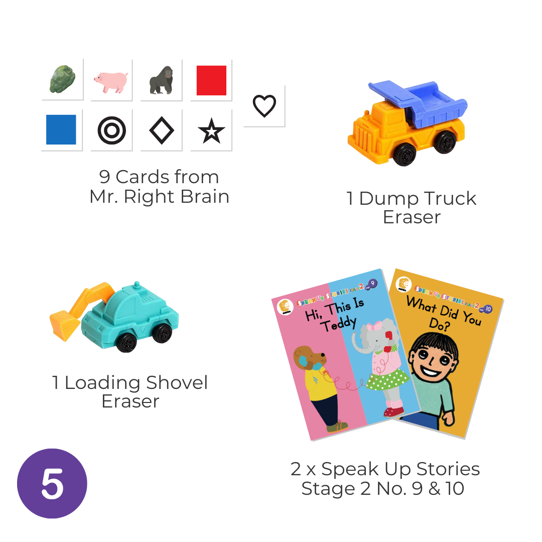 Shichida Discovery Toy + Book Set for 5+ years old