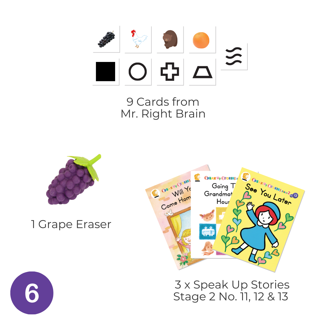 Shichida Discovery Toy + Book Set for 5+ years old