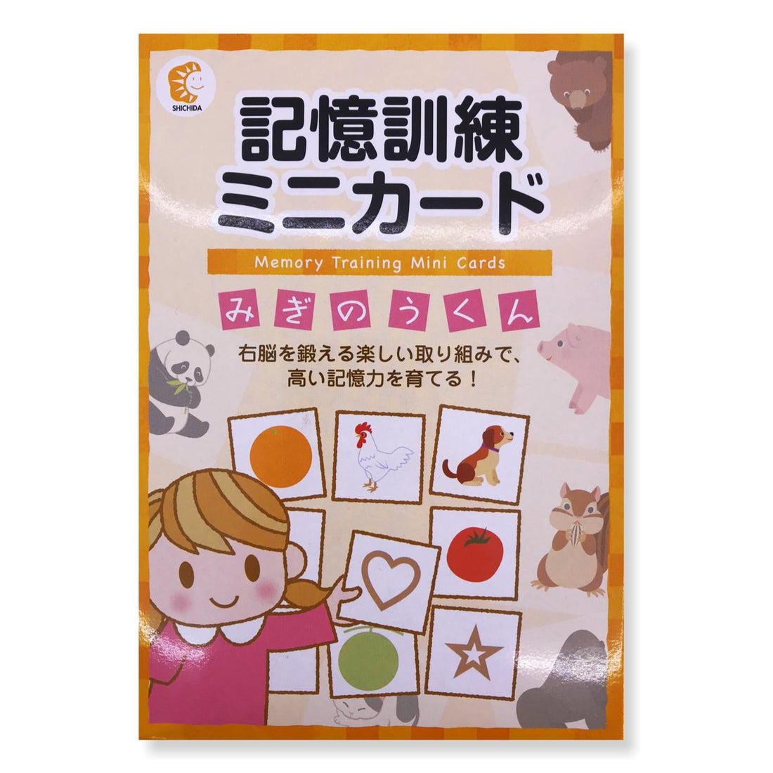Memory Training Mini Cards - Mr Right Brain